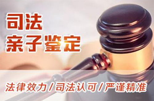 湖北省司法亲子鉴定如何做,湖北省司法亲子鉴定办理费用